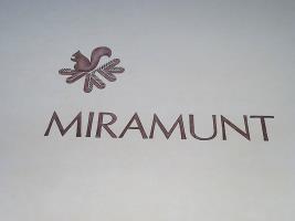 Miramunt Hotell Flims Exteriör bild